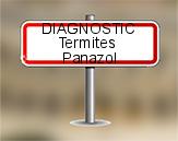 Diagnostic Termite AC Environnement à Panazol
